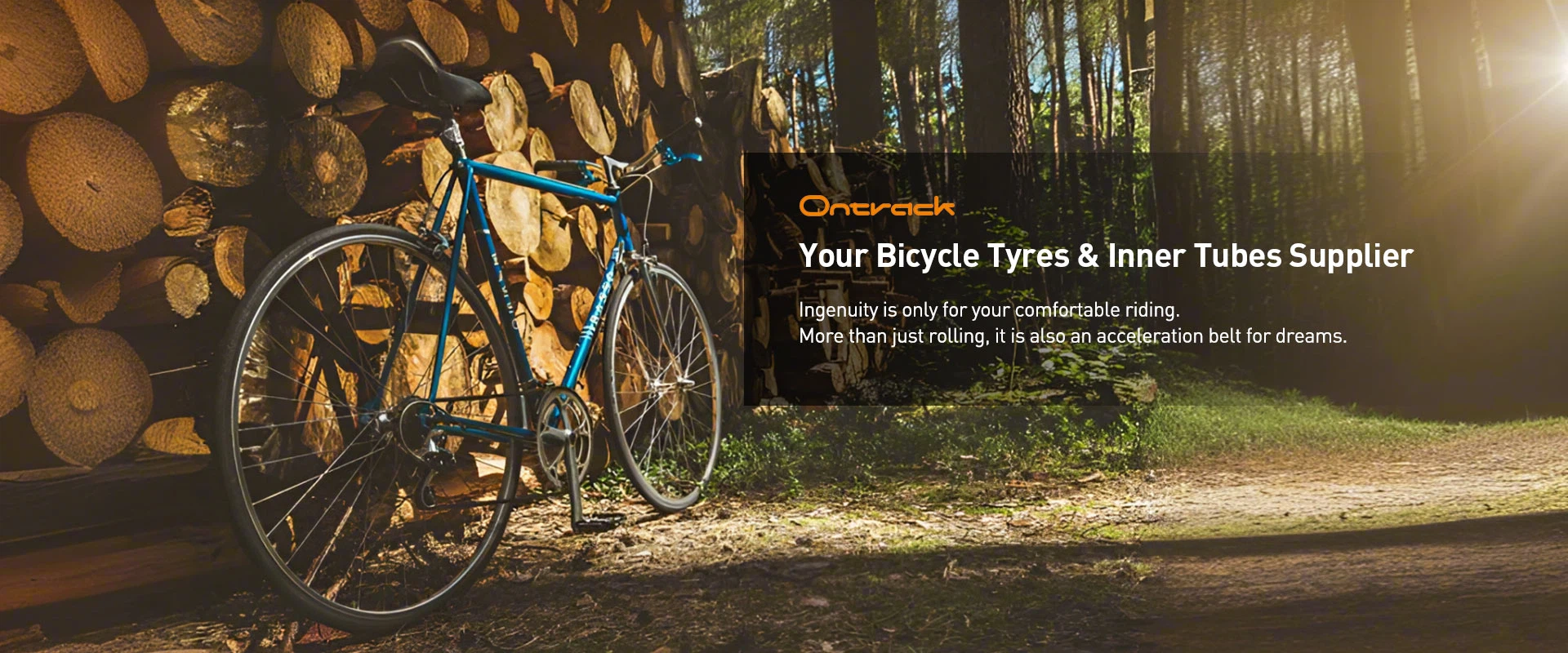 Bicycle Tyres & Inner Tubes